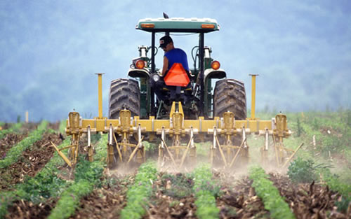 Agricultura Desenv. e Meio Ambiente